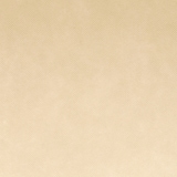 thumbnail of Garcia de Pou - Nappe 'Spunbond' 60 G/M2 1,20X50 M Creme Pp
