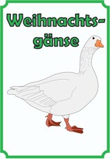 thumbnail of Weihnachtsgans Verkaufsschild Schild Hochkant A2 Rückseite selbstklebend