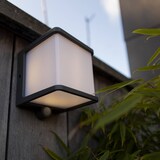 thumbnail of Lumisky Netzbetriebene Wandleuchte DOBLO GREY SENSOR LED H14,6cm Aluminium Dark Grey