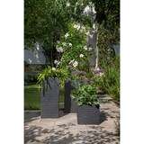 thumbnail of Scheurich Muretto 30, bac à plantes/pot à fleurs, carré, coloris: Stony Black, fabriqué avec du plastique recyclé, pour l’extérieur