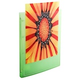 thumbnail of Exacompta - réf. 51969E - Carton de 20 classeurs PP personnalisables 1 poche - 4 anneaux 15mm - Dos 20mm - 32 x 25 cm - A4 - Assortis