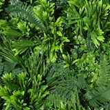 thumbnail of Siepe artificiale Cielo verde| Naturing Monde - 1x1M - Per interni ed esterni - Materiale 100% HDPE di alta qualità