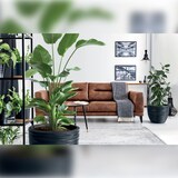 thumbnail of CASARIA® Blumentopf 30L 40x32cm Rillentopf Anthrazit