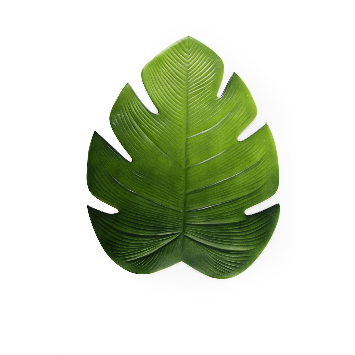 Excelsa set 6 tovagliette Tropical plastica 46,5x37 cm verde