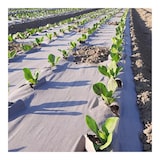 thumbnail of Tecido de cobertura vegetal Papel Kraft 0,9 x 20m Auto-degradável para jardim Controlo de ervas daninhas 100% celulose