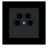 thumbnail of Busch-Jaeger Zentralscheibe 1743/10-04-45M 2CKA001724A4443