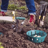 thumbnail of Blumenzwiebel-Pflanzschale 26x28x7cm 3er Set Grün