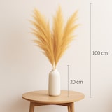 thumbnail of Künstliches Pampasgras (100 cm) – 3er Set in Creme - Beige
