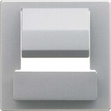 thumbnail of Busch-Jaeger Zentralscheibe gr/metal 6477-803 2CKA006400A0060