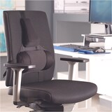thumbnail of Fellowes Respaldo lumbar Professional ergonómico de espuma con sección para columna, color negro