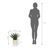 thumbnail of Kunstpflanze / Topfpflanze AGAVE 45 cm Kunststoff grün hjh OFFICE