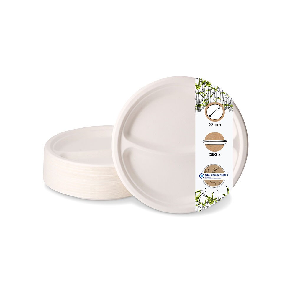 BIOZOYG 250 Stück Teller 22 cm, 2 Kammern Einwegteller, Zuckerrohr-Teller rechteckig für Menüs, umweltfreundlich, biologisch abbaubares Geschirr