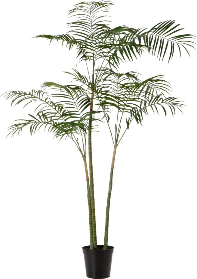 Königspalme 215 cm - Grün Anderer Kunststoff Lou De Castellane 0.01x0.01 cm