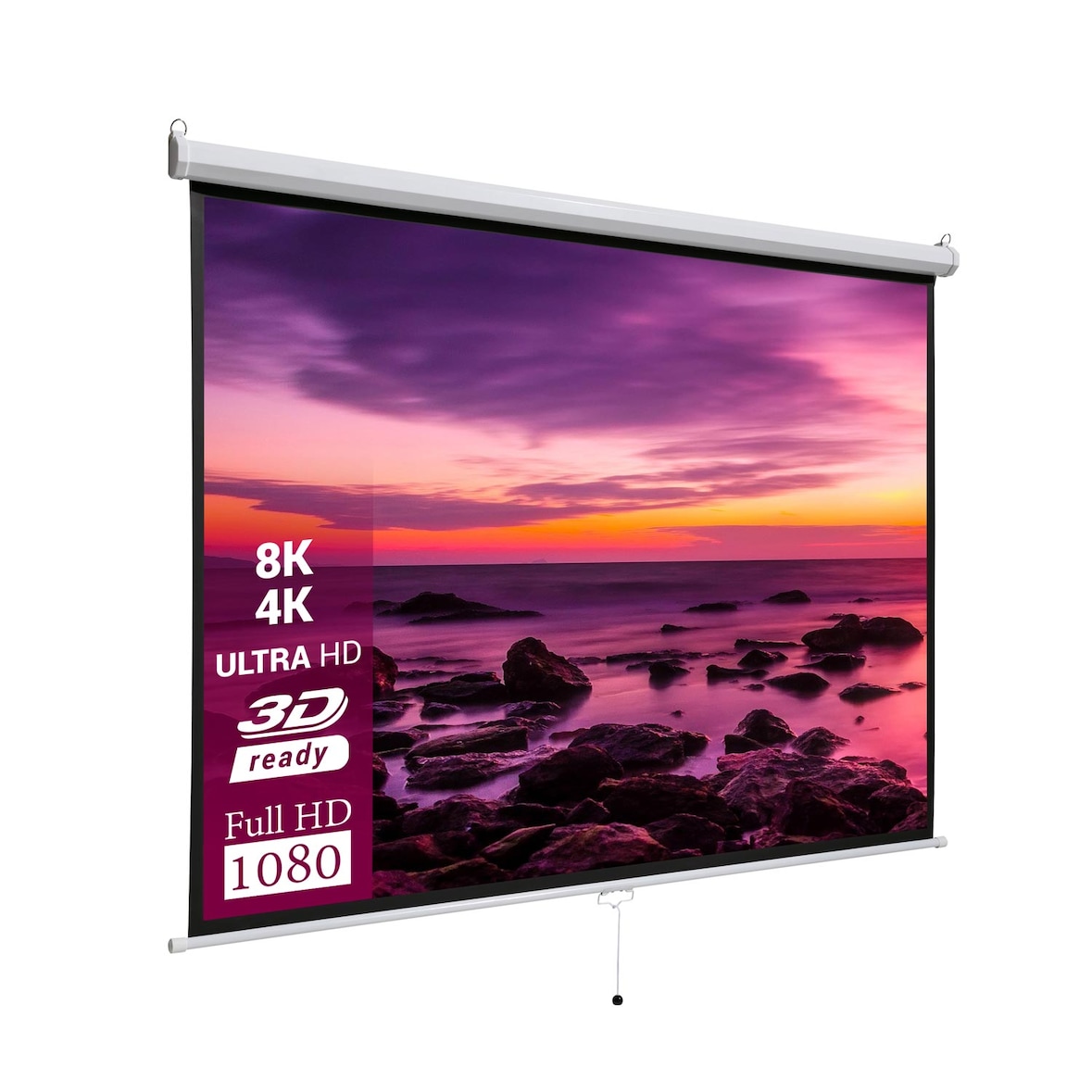 celexon basic line Rolloleinwand 240 x 240cm,Leinwand Format 1:1 , Heimkino Leinwand, Beamerleinwand,3D Leinwand,Full HD Leinwand, Leinwand Beamer