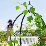 thumbnail of Relaxdays Rankobelisk beschichtetes Metall 190 cm, witterungsbeständige Garten Rankhilfe für Rosen und Blumen, grün