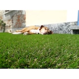 thumbnail of Relvado 50 mm 1x10m Relva sintética artificial 4 tons relvado de jardim falso 10m2 por Yelloo