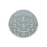 thumbnail of CleanSV Urinalsieb 2.0 Baumwollblüte 12 Stück Urinaleinlage