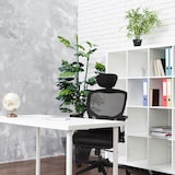 thumbnail of Cadeira de escritório High End VENUS BASE preto hjh OFFICE