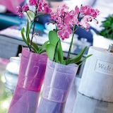 thumbnail of Prosperplast - Coubi Orchideen Pflanztopf Transparent 1,1L, Maße 125x125x147mm