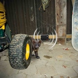 thumbnail of GARDIGO Marder frei mobil  Marder Frei Mobil, batteriebetrieben