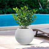 thumbnail of Jarrón de resina para plantas de interior y exterior, diseño esfera redonda d.40x33h Botticelli Blanco