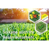 thumbnail of Roundup Rasen Unkrautfrei Konzentrat 250 ml