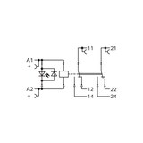thumbnail of WAGO GmbH & Co. KG Stecksockel m.Relais 788-384