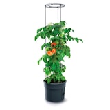 thumbnail of Prosperplast - Tomatenpflanztopf Tomate Grower aus Kunststoff in Anthrazit, 39,2 x 39,2 x 31,5-153 cm
