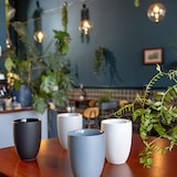 thumbnail of ROSENTHAL THE MUG+ COMFORT BLUE BECHER DOPPELWANDIG - ROSENTHAL THE MUG+ COMFORT BLUE - 1 STÜCK - EINZELARTIKEL (WUNSCHMENGE WÄHLEN)