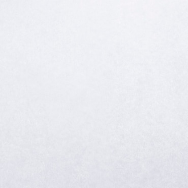 Greenvase - Papel hamburguesa antigrasa blanco 31x42cm (1000 uds)