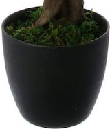 thumbnail of WellHome - Künstlicher Bonsai für drinnen und draußen, 20x20x17,5cm