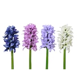 thumbnail of 1 Künstliche Hyazinthe mit Stiel 7x22cm Kunstblumen Hyazinthen Dekoblumen Blumendeko Stielblumen Blumen Deko Blumenschmuck