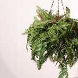 thumbnail of Jardinera artificial Helecho mixto| Naturing Monde - Diametro 40cm -Para interior y exterior - Material 100% HDPE alta calidad