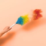 thumbnail of Plumeau poussières anti-statique - BROSSERIE MARCHAND