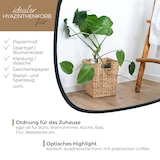 thumbnail of HMF Papierkorb Büro, Aufbewahrungskorb geflochten aus Wasserhyazinthe, Eckig, 25 x 25 x 30 cm