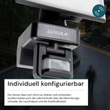 thumbnail of LUXULA LED Fluter LX400193 20 W 4000 K neutralweiß schwarz IP54