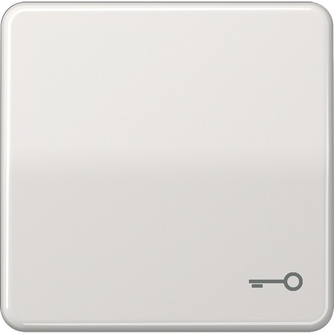 Jung Wippe Symbol TÜR lgr CD 590 T LG CD590TLG