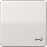 thumbnail of Jung Wippe Symbol TÜR lgr CD 590 T LG CD590TLG