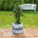 thumbnail of Wilk Gabione Amber L