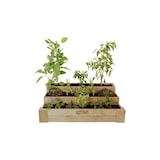 thumbnail of HORTALIA Caixa de cultivo Box Stairs 120 em madeira tratada para exterior - 120x80x40 cm