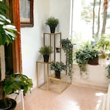 thumbnail of DanDiBo Blumentreppe Metall Gold 82 cm Pflanzentreppe Blumenständer 96505 Blumensäule Modern Pflanzenständer Blumenhocker