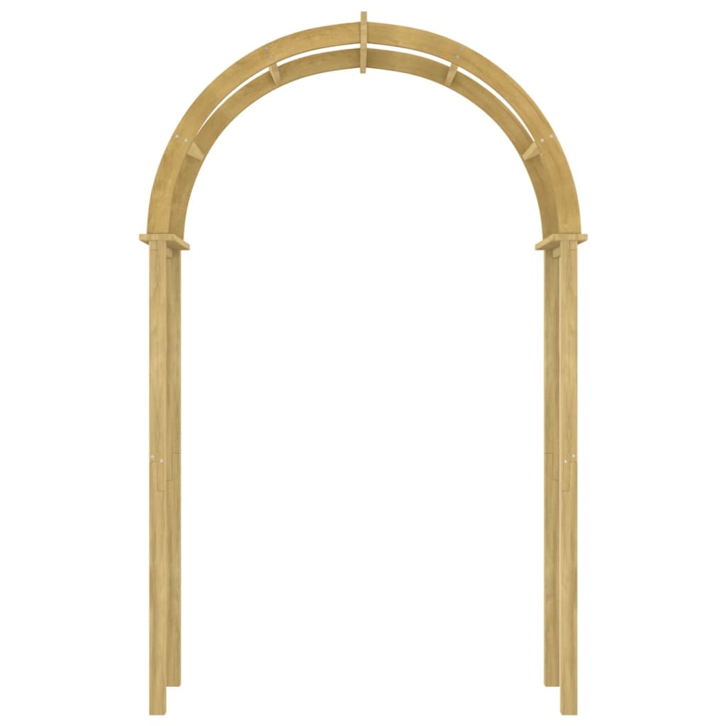 Arche 141x97x243 cm Bois de pin massif imprégné Modèle AbriPin 61