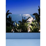 thumbnail of Sair - Refletor LED redondo 10W IP65 branco 3000K - Luz de jardim para plantas ou sebes h36cm - Beneito faure