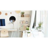 thumbnail of ALLboards Schwarze magnetische Kreidetafel rund 30 cm