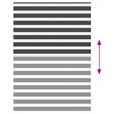 thumbnail of vidaXL Doppelrollo Schwarz 160x200 cm Stoffbreite 155,9 cm Polyester