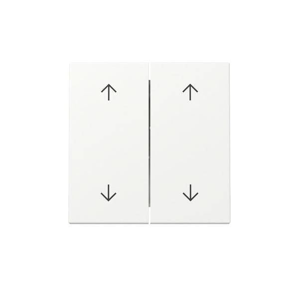 Gira Wippe 2f Pfeile 329727