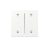 thumbnail of Gira Wippe 2f Pfeile 329727