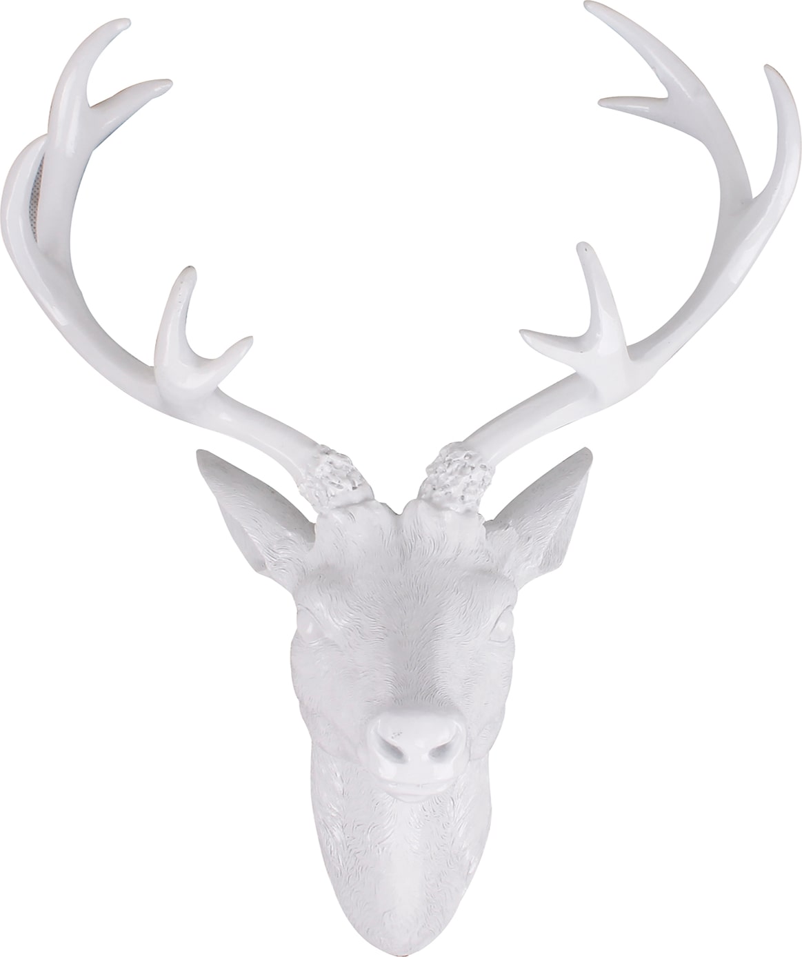 XXL Hirschgeweih Hirschkopf Geweih 10-Ender Weiß 48x32x61cm