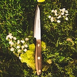 thumbnail of ARCOS Nórdika - Messer Messer 10 cm Rostfreier Stahl Nitrum. Ovengkol Griff