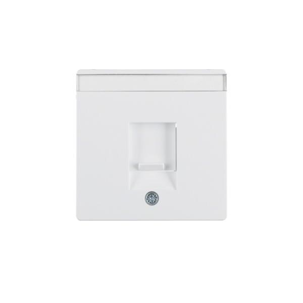 Berker Zentralstück 11706089